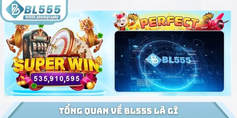 Tổng quan về BL555 là gì