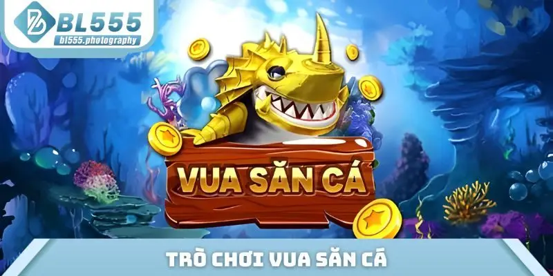 Trò chơi Vua Săn Cá